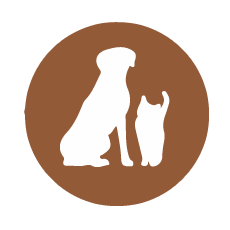 animals icon